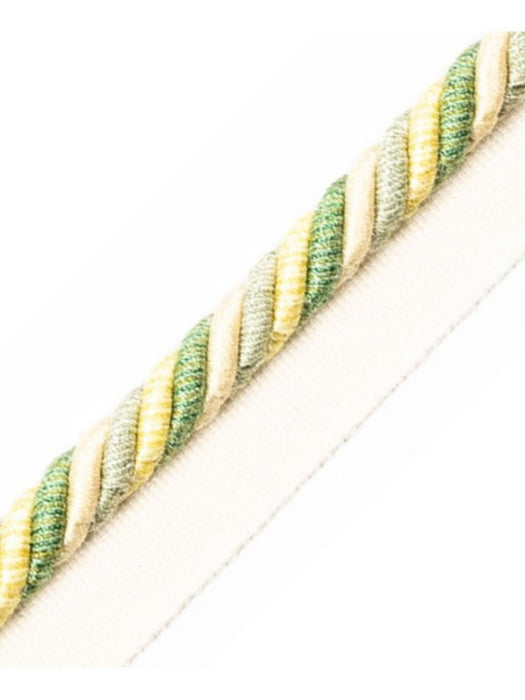 Scalamandre Milady Cord With Tape C Meadow/Beige Trim Sample PL50640505