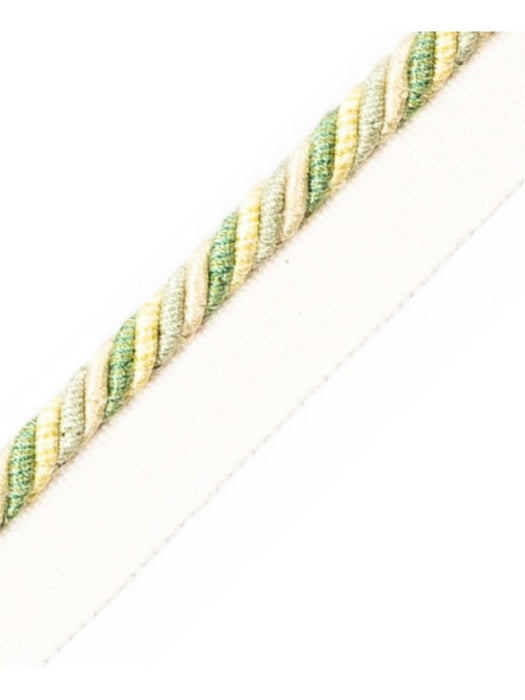 Scalamandre Milady Cord With Tape A Meadow/Beige Trim Sample PL50660505