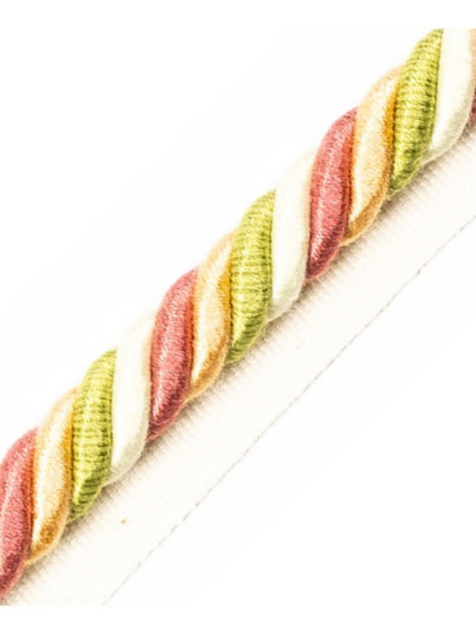 Scalamandre Milady Cord With Tape B Spring Bouquet Trim Sample PL50590506