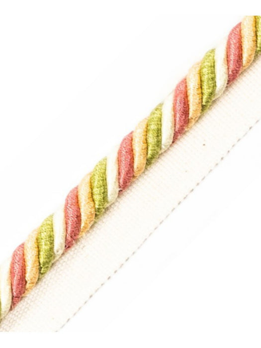 Scalamandre Milady Cord With Tape C Spring Bouquet Trim Sample PL50640506