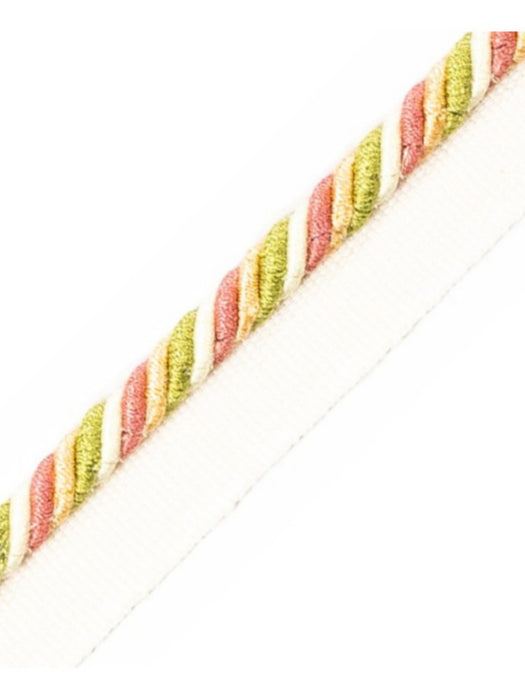 Scalamandre Milady Cord With Tape A Spring Bouquet Trim Sample PL50660506