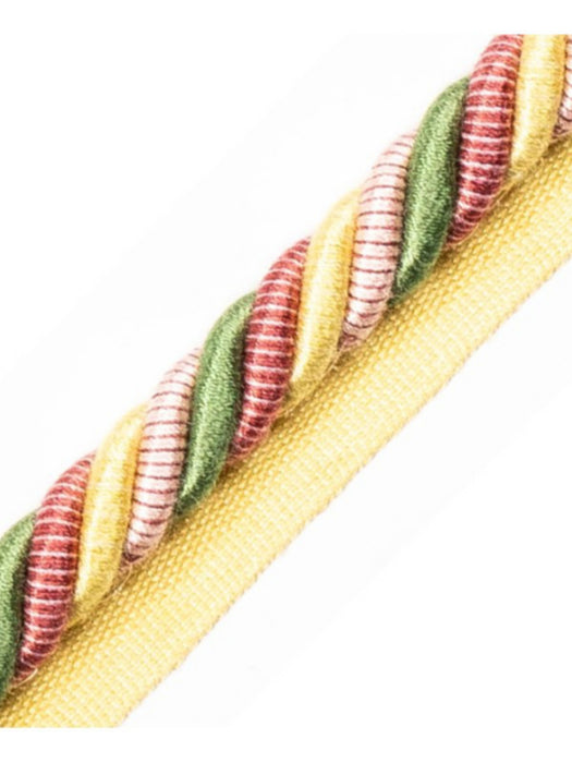 Scalamandre Milady Cord With Tape B Summer Bouquet Trim PL50590507