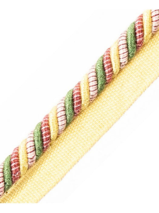 Scalamandre Milady Cord With Tape C Summer Bouquet Trim Sample PL50640507