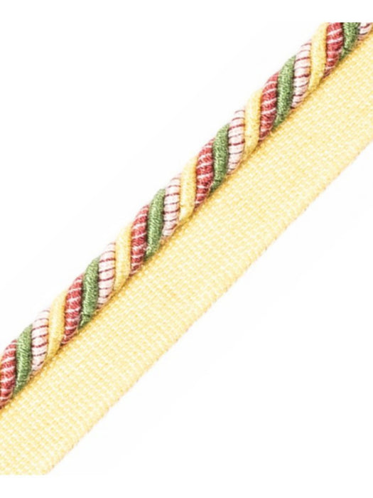 Scalamandre Milady Cord With Tape A Summer Bouquet Trim PL50660507