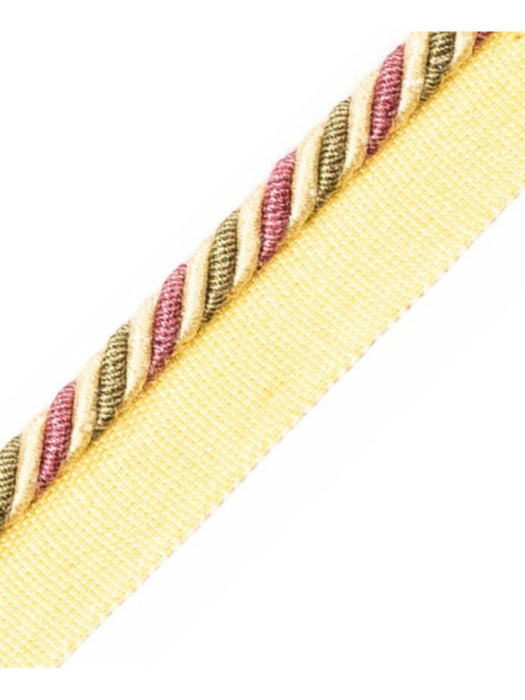 Scalamandre Milady Cord With Tape A Mulberry Trim Sample PL50660511