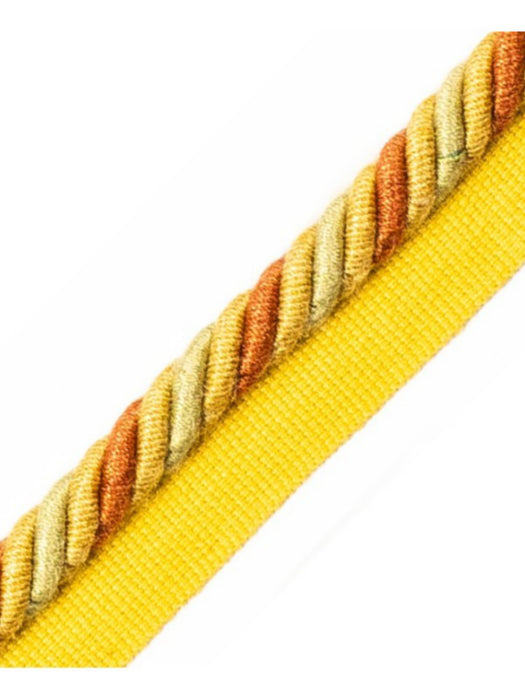 Scalamandre Milady Cord With Tape C Saffron Trim Sample PL50640516
