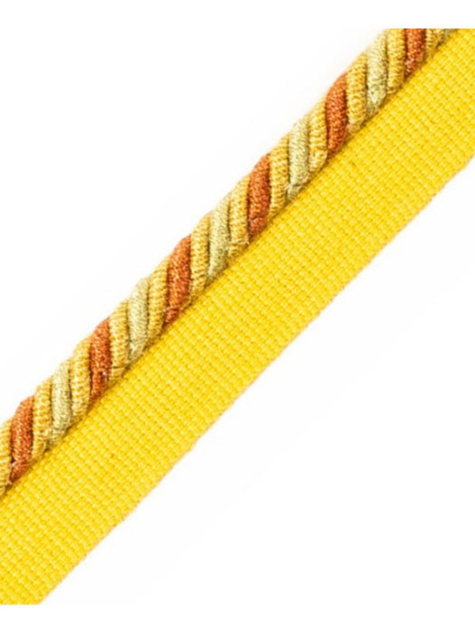 Scalamandre Milady Cord With Tape A Saffron Trim Sample PL50660516