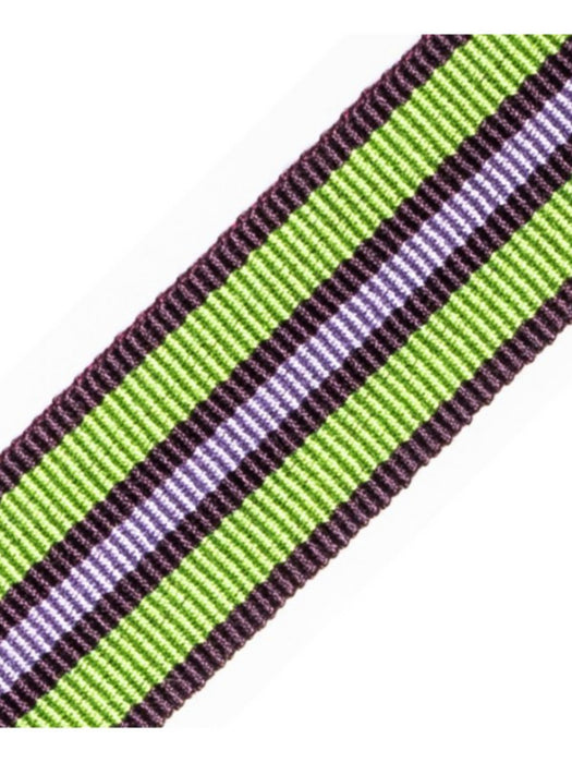 Scalamandre Bayadere Tape A Prairie Trim PL63030631