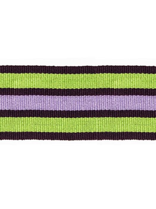 Scalamandre Bayadere Tape B Prairie Trim Sample PL63050631