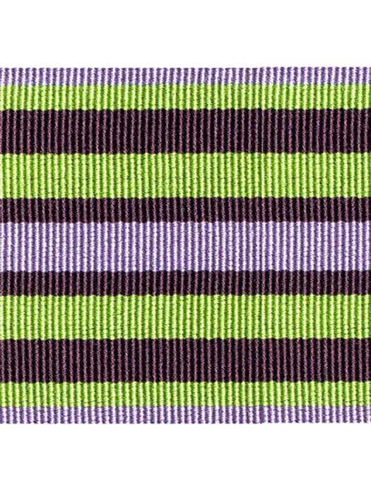 Scalamandre Bayadere Tape C Prairie Trim Sample PL63100631