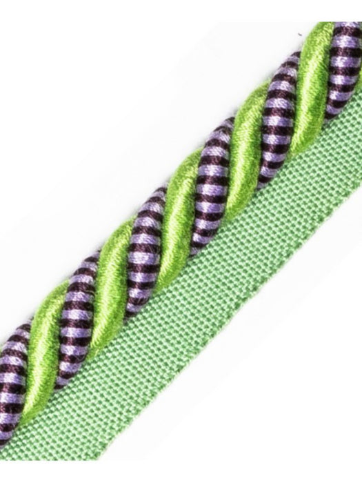 Scalamandre Bayadere Cord With Tape A Prairie Trim Sample PL63590631