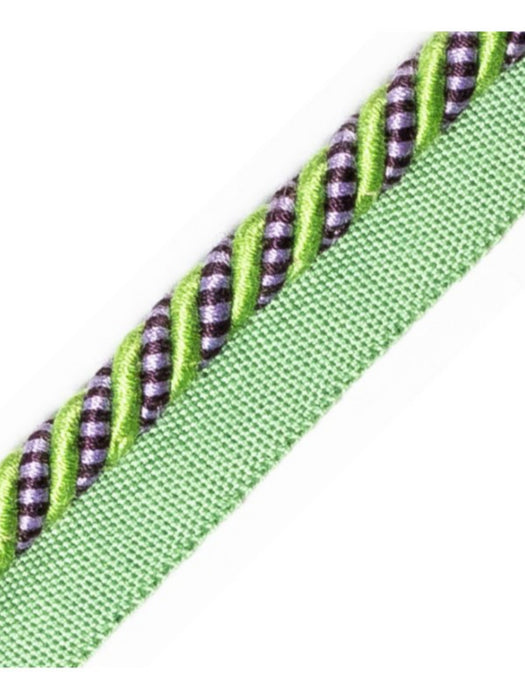 Scalamandre Bayadere Cord With Tape B Prairie Trim PL63640631