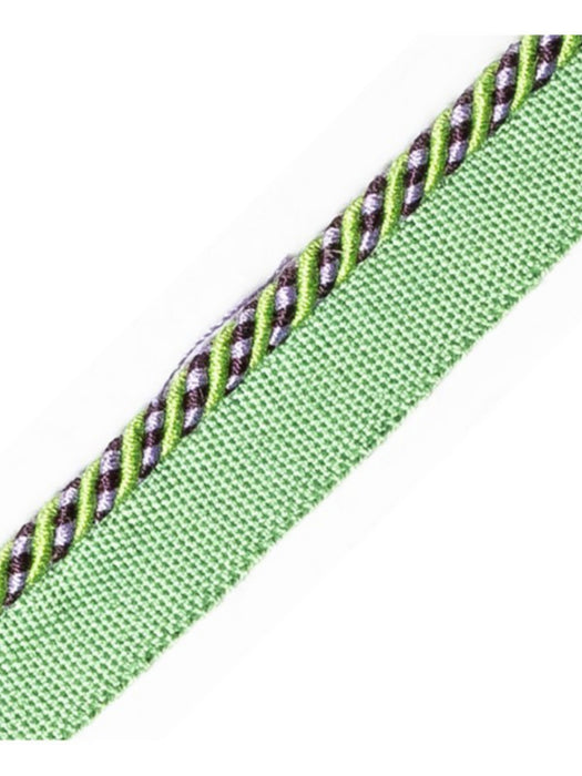 Scalamandre Bayadere Cord With Tape C Prairie Trim Sample PL63660631