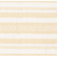 Scalamandre Bayadere Tape C Coquille Trim PL63100632