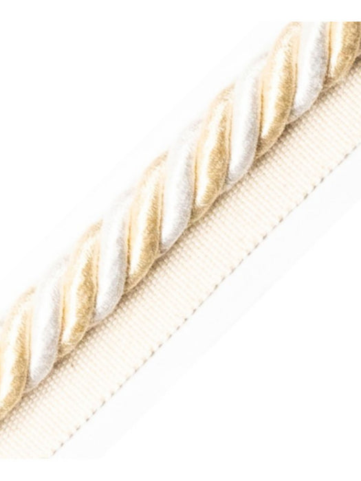 Scalamandre Bayadere Cord With Tape A Coquille Trim PL63590632