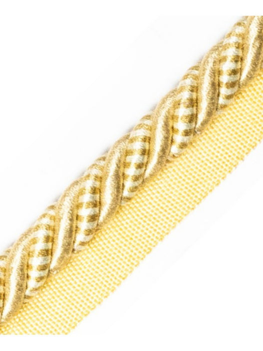 Scalamandre Bayadere Cord With Tape A Dune Trim Sample PL63590633