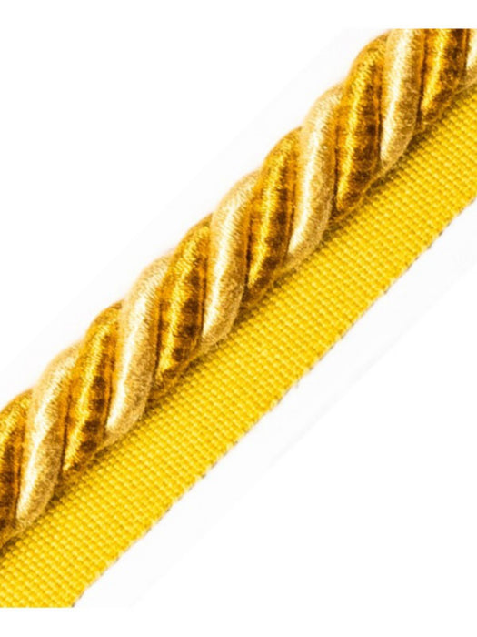 Scalamandre Bayadere Cord With Tape A Sable Trim PL63590634