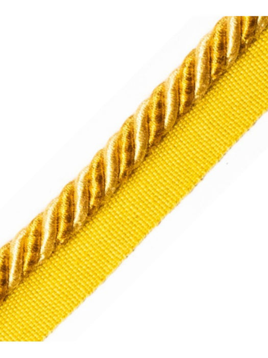 Scalamandre Bayadere Cord With Tape B Sable Trim PL63640634