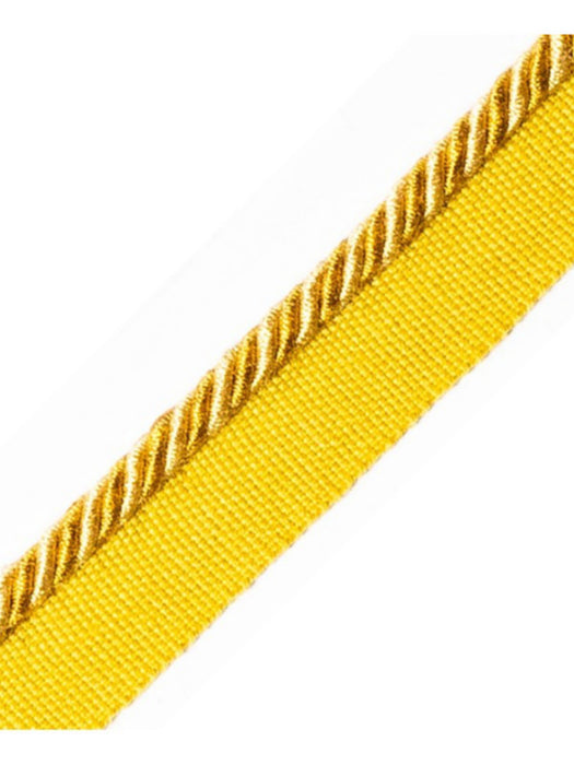 Scalamandre Bayadere Cord With Tape C Sable Trim PL63660634