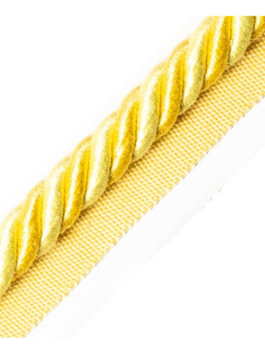 Scalamandre Bayadere Cord With Tape A Mais Trim Sample PL63590638
