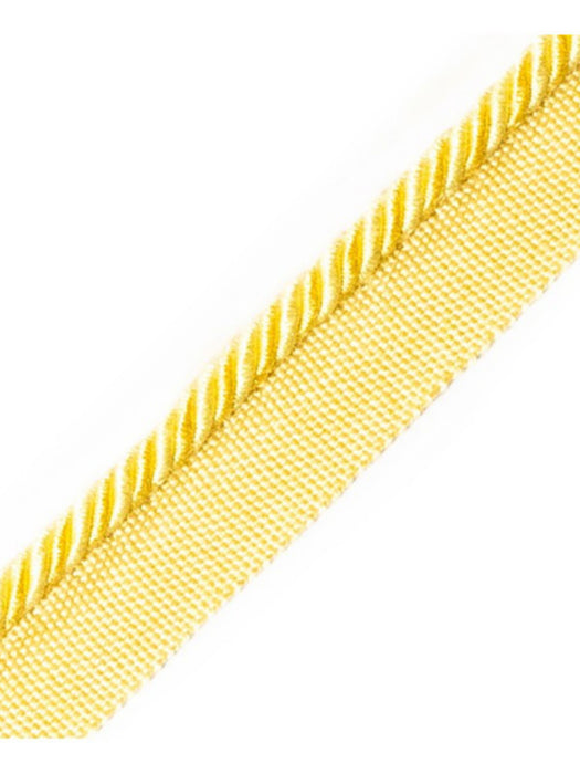 Scalamandre Bayadere Cord With Tape C Mais Trim PL63660638