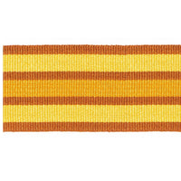 Scalamandre Bayadere Tape B Soleil Trim PL63050639