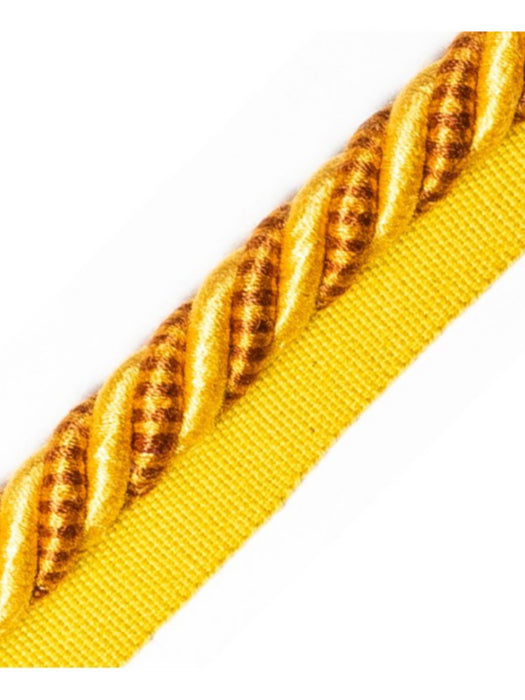 Scalamandre Bayadere Cord With Tape A Soleil Trim PL63590639