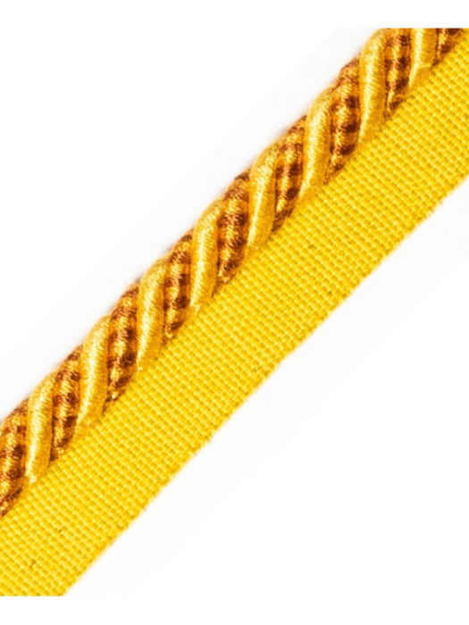 Scalamandre Bayadere Cord With Tape B Soleil Trim Sample PL63640639