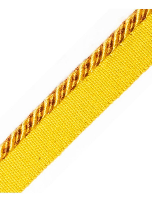 Scalamandre Bayadere Cord With Tape C Soleil Trim PL63660639