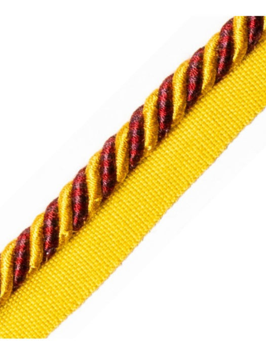 Scalamandre Bayadere Cord With Tape B Feu Trim PL63640640