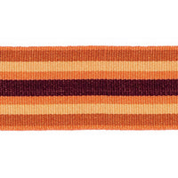Scalamandre Bayadere Tape B Mangue Trim PL63050642