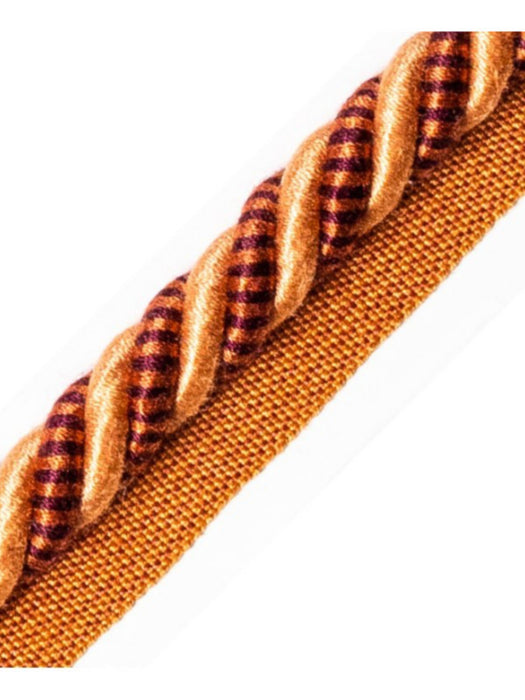Scalamandre Bayadere Cord With Tape A Mangue Trim Sample PL63590642