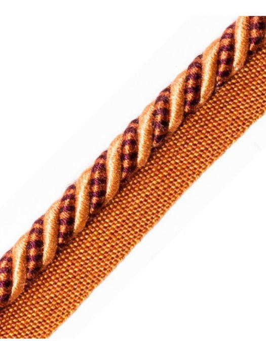 Scalamandre Bayadere Cord With Tape B Mangue Trim Sample PL63640642