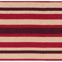 Scalamandre Bayadere Tape C Pivoine Trim PL63100643