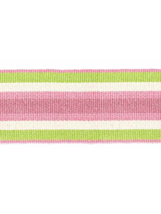 Scalamandre Bayadere Tape B Azalee Trim Sample PL63050644