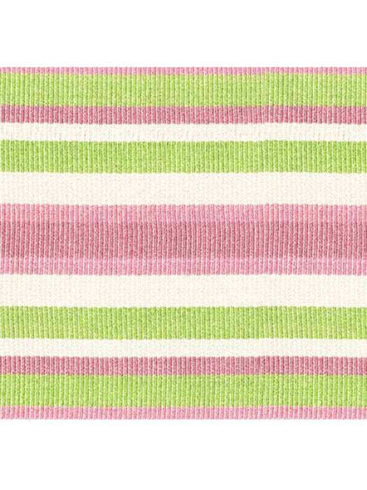 Scalamandre Bayadere Tape C Azalee Trim Sample PL63100644