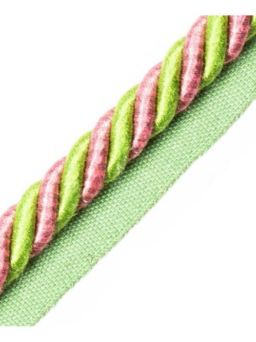 Scalamandre Bayadere Cord With Tape A Azalee Trim Sample PL63590644