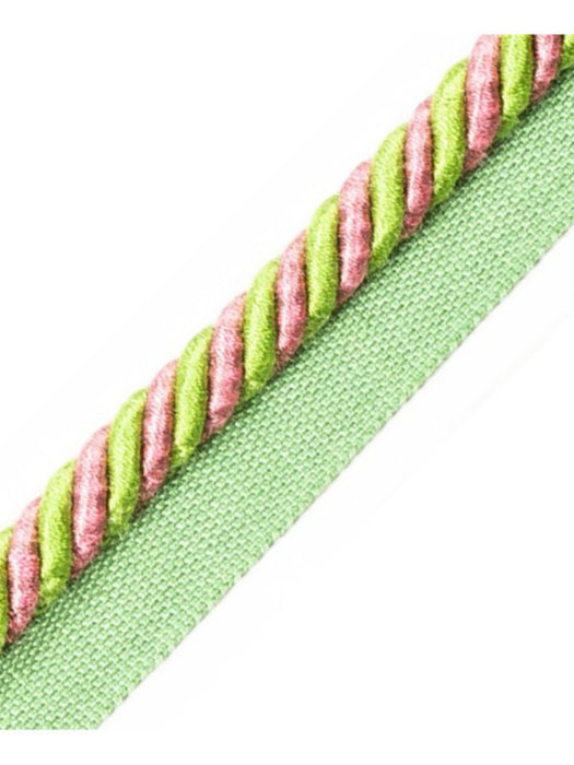 Scalamandre Bayadere Cord With Tape B Azalee Trim PL63640644