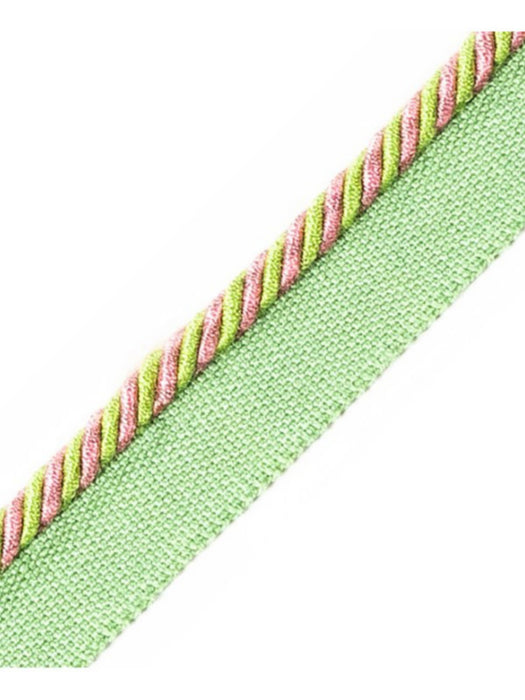 Scalamandre Bayadere Cord With Tape C Azalee Trim PL63660644