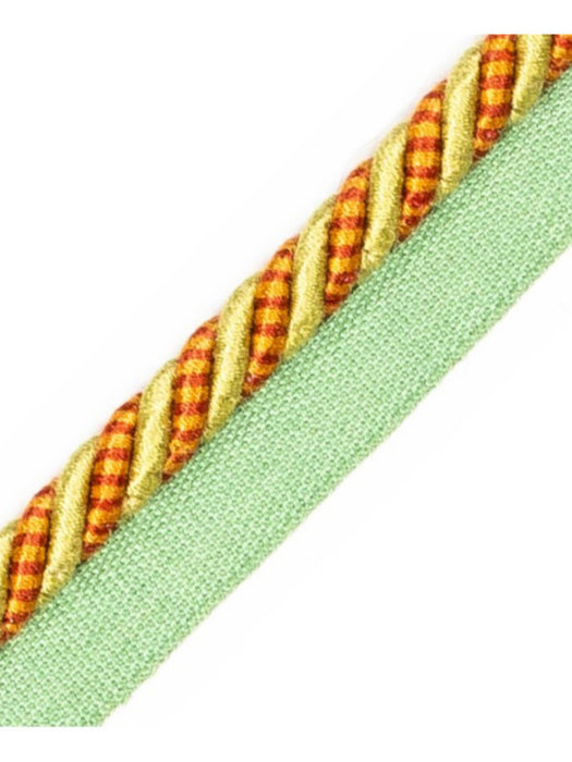 Scalamandre Bayadere Cord With Tape B Automne Trim Sample PL63640645