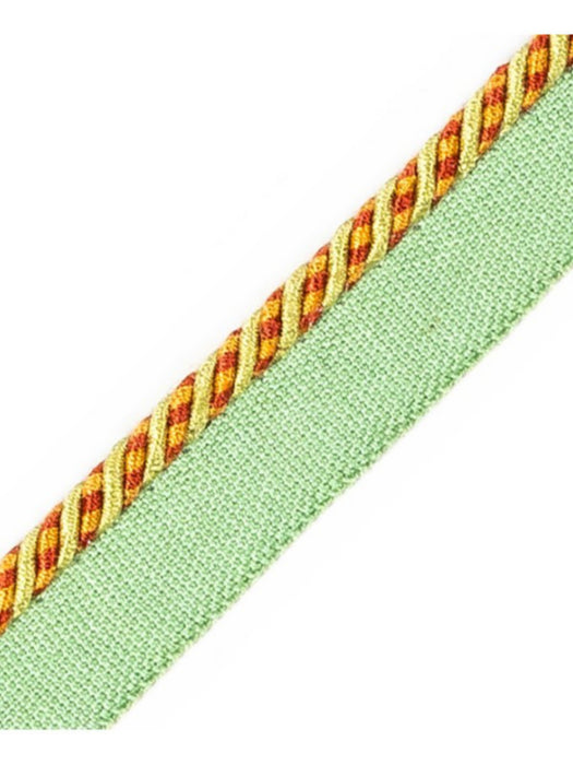 Scalamandre Bayadere Cord With Tape C Automne Trim Sample PL63660645