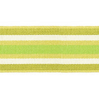 Scalamandre Bayadere Tape B Fougere Trim PL63050646