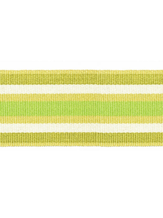 Scalamandre Bayadere Tape B Fougere Trim PL63050646