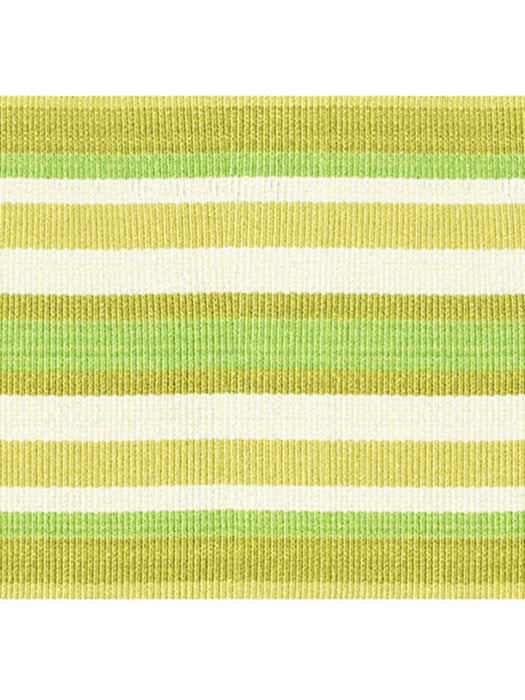 Scalamandre Bayadere Tape C Fougere Trim PL63100646