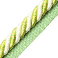 Scalamandre Bayadere Cord With Tape A Fougere Trim PL63590646