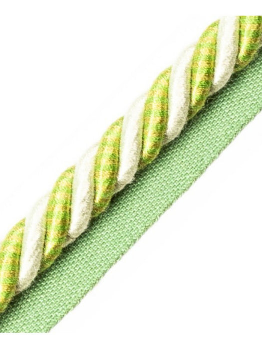 Scalamandre Bayadere Cord With Tape A Fougere Trim PL63590646