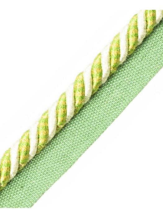 Scalamandre Bayadere Cord With Tape B Fougere Trim Sample PL63640646