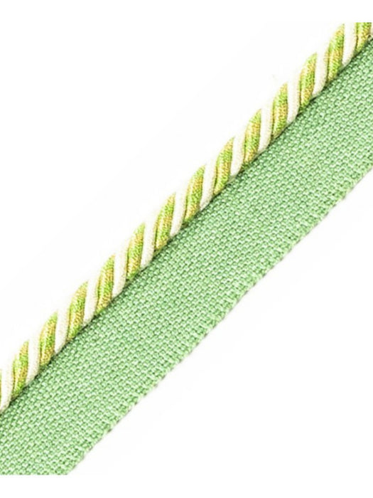 Scalamandre Bayadere Cord With Tape C Fougere Trim Sample PL63660646