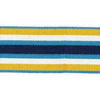 Scalamandre Bayadere Tape B Oasis Trim PL63050648