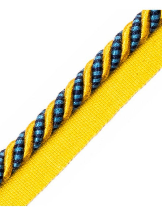 Scalamandre Bayadere Cord With Tape B Oasis Trim PL63640648